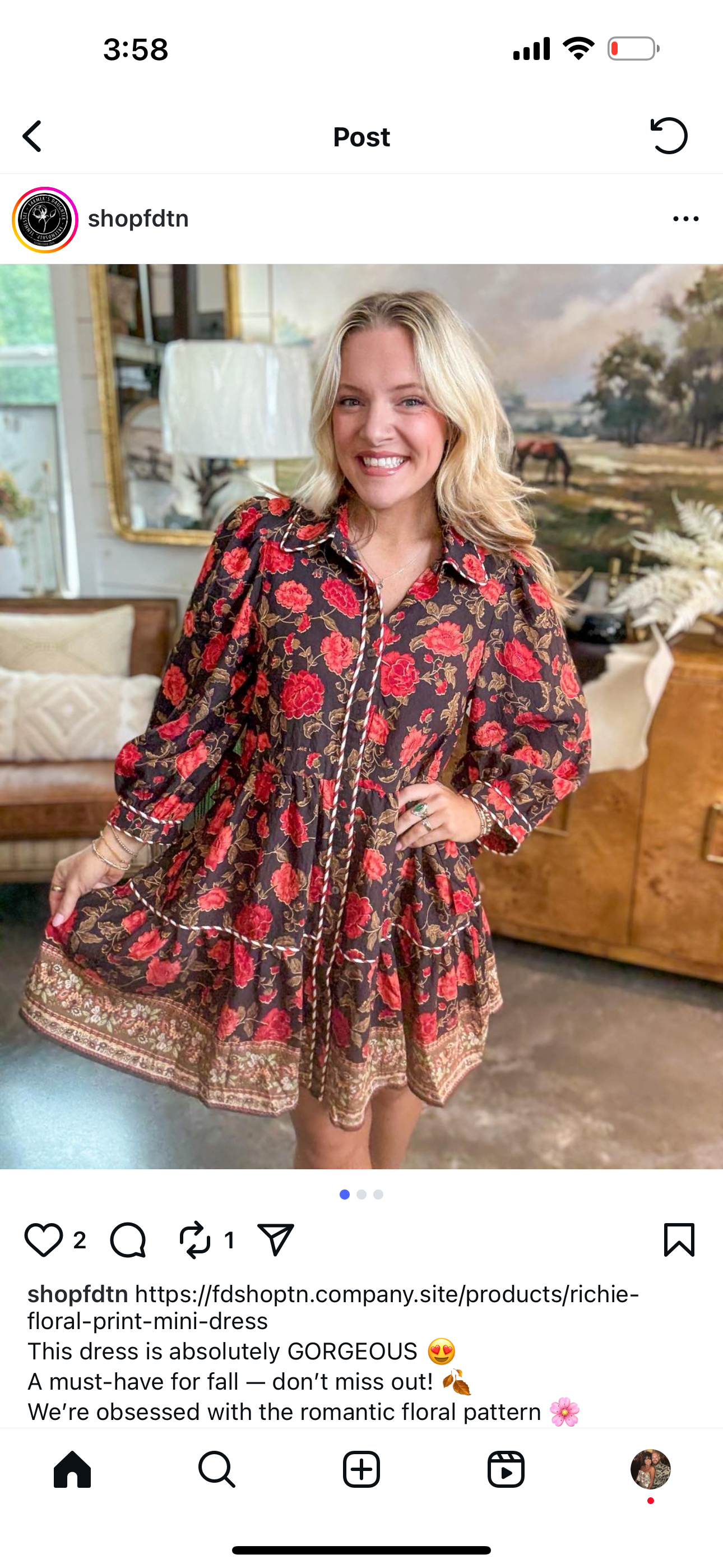 Harvest Festivities Floral Mini Dress~ Entro