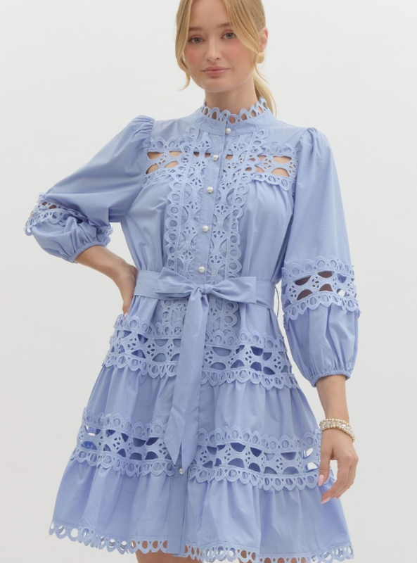 Chambray All The Way Dress