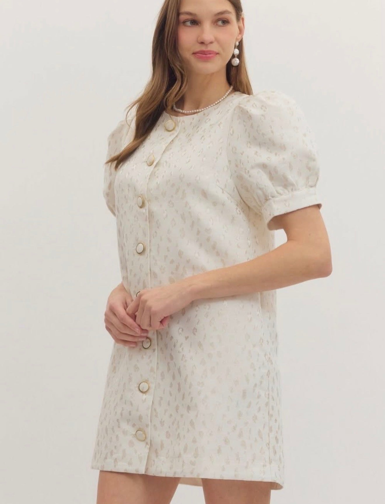 Classic Chic Puff Sleeve Dress- Cream