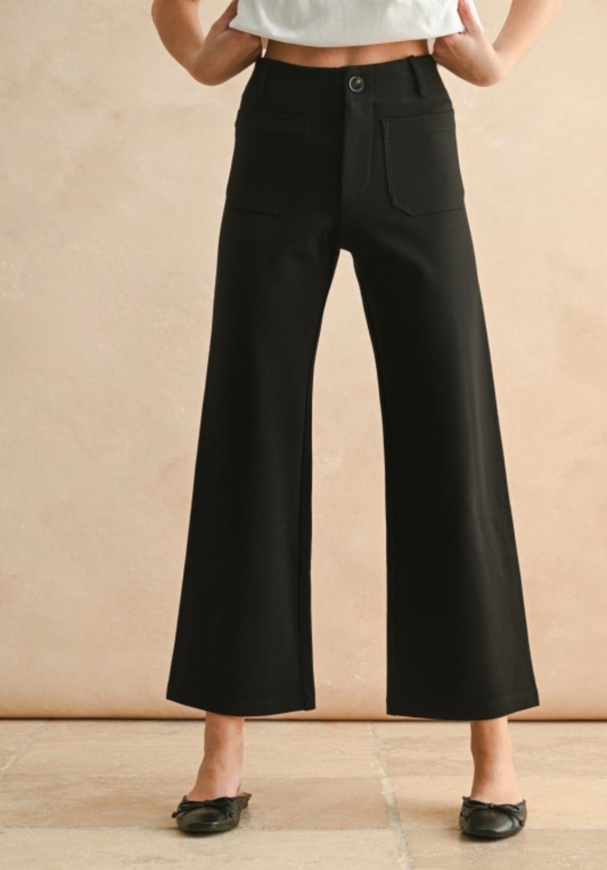 Front Pocket Ponte Fabric Cropped Pants~Black