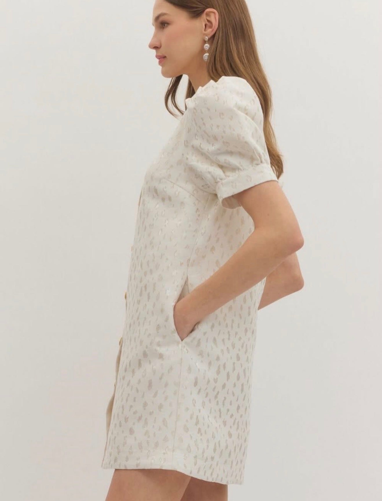 Classic Chic Puff Sleeve Dress- Cream