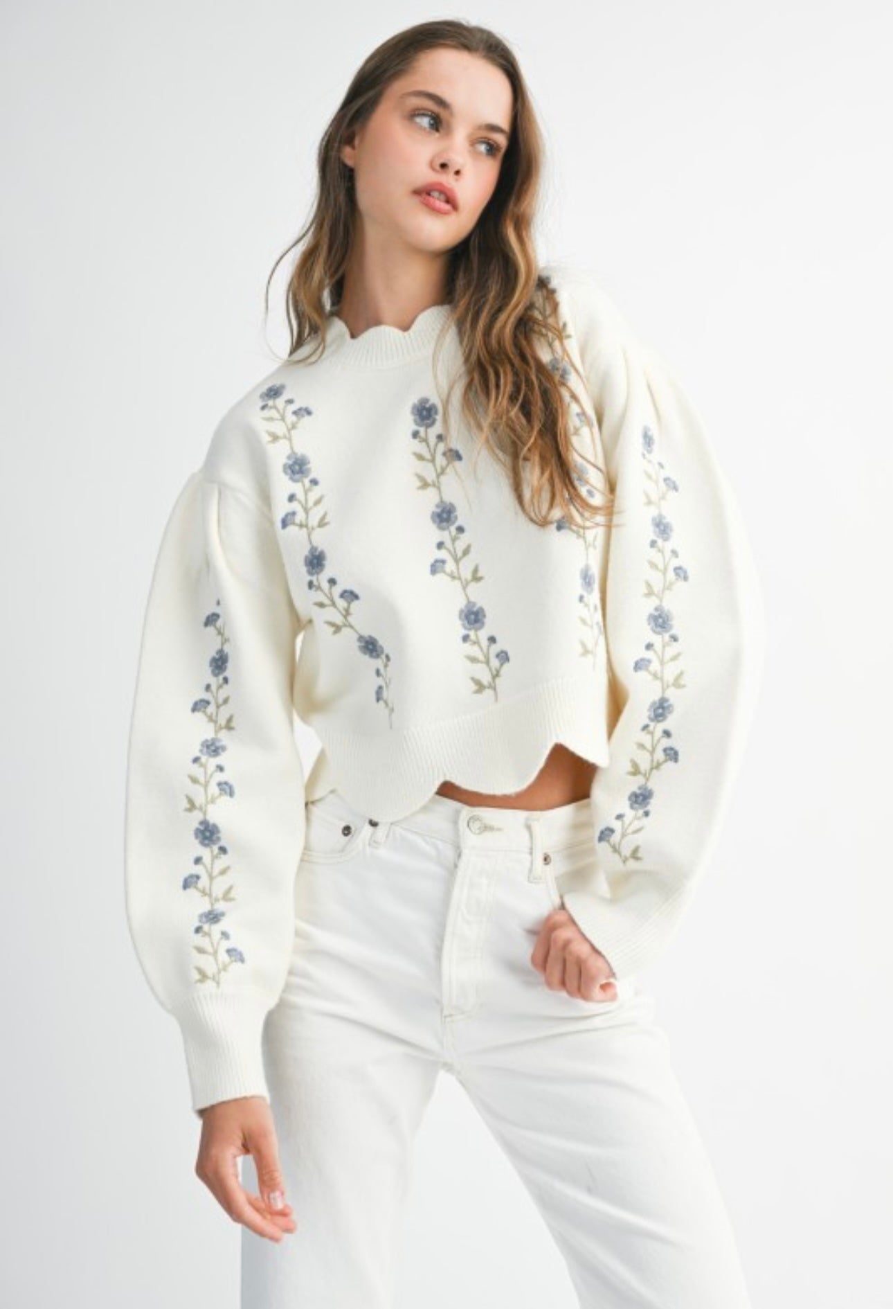 Southern Charm Embroidered Knit Sweater